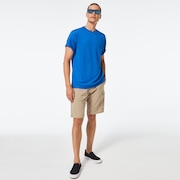 Cruiser Cargo 21 Rc Hybrid - Rye