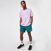 All Day 16 Beach Short - Bayberry