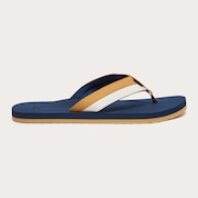 Team Navy/Light Curry