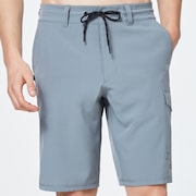 Cruiser Cargo Hybrid 21 - Steel Gray