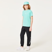 Aqua Green