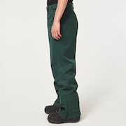 Crescent 2.0 Shell 2L 10K Pant - Hunter Green