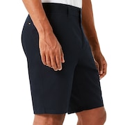 Icon Chino Short - Fathom