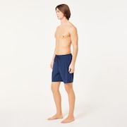 Checkered 18'' Beachshort - Abyss