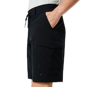 Cruiser Cargo Hybrid 21 - Blackout