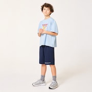 Ytr Woven Shorts 11.0 - Fathom