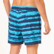 Blur Stripes Rc 16" Beachshort - Blurred Stripe Blue