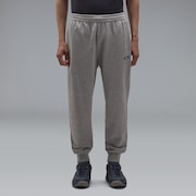 Re-Foundational Fleece Pants 1.0