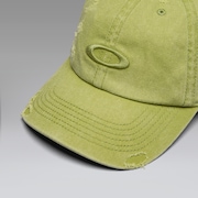 ‘47 Reserve Distressed Cap - Cactus