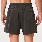 Robinson Rc 16" Beachshort - Blackout
