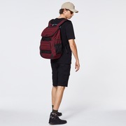 Enduro 2.0 Big Backpack - Sundried Tomato Heather