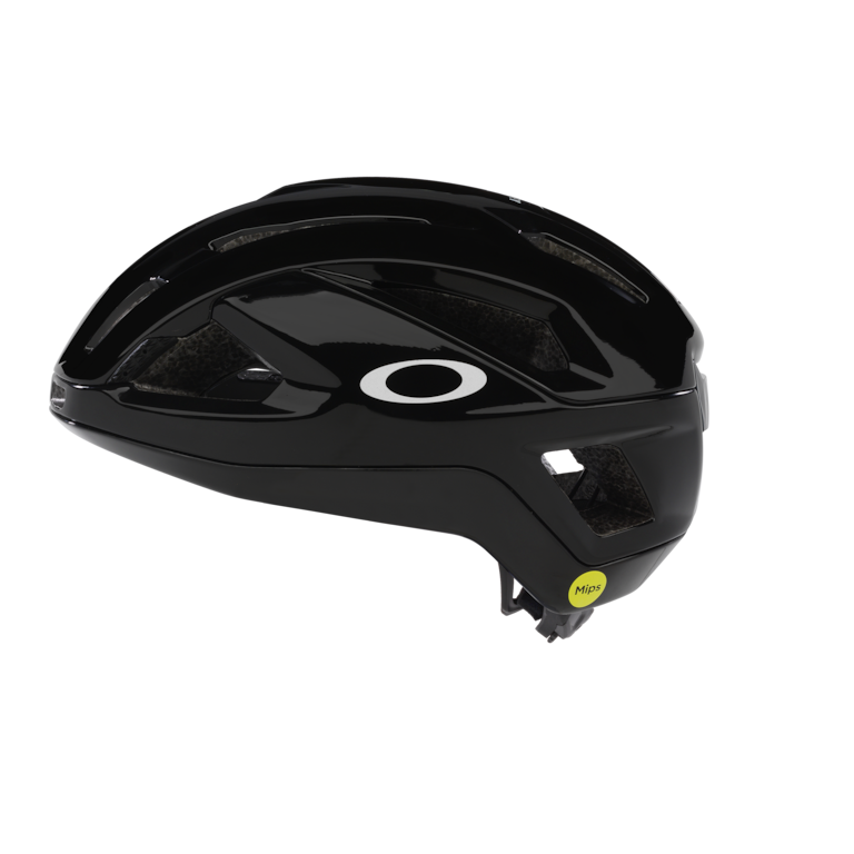 ARO3 ENDURANCE - MIPS - Polished Black/Matte