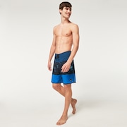 Tropics St 19"Rc Boardshort - Palms Stripe Blue