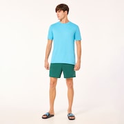 Robinson Rc 16" Beachshort - Viridian