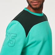 Seeker '75 Sweatshirt - Mint Green