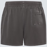 Robinson Rc 16" Beachshort - Blackout