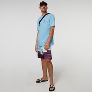 Outer Limits 20 Boardshort - Galaxy Print