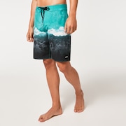 Whitewash 20" Boardshort - Mint Green Wave