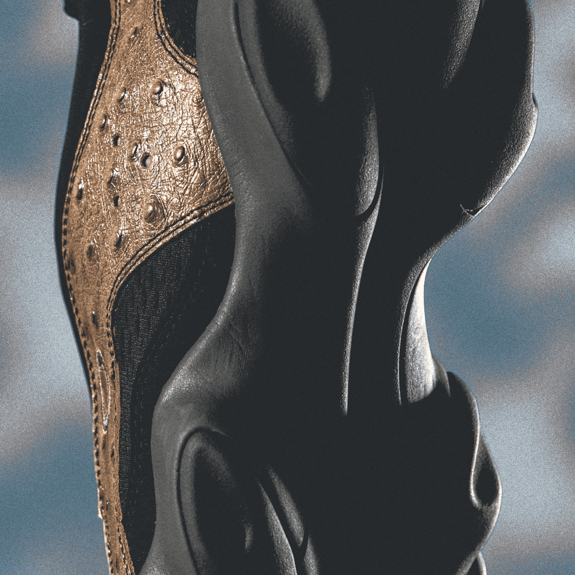 FOF100593__BFZ_dtl8.png?