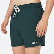 All Day 16 Beach Short - Hunter Green