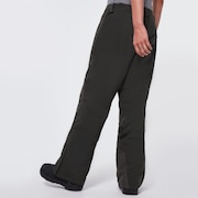 Cedar Ridge 3.0 BZI Pant - New Dark Brush