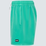 Robinson Rc 16" Beachshort - Mint Green
