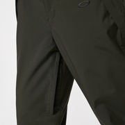 Cedar 2.0 Pant - New Dark Brush