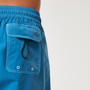 Robinson Rc 16" Beachshort - Bright Blue