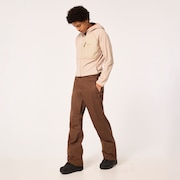 Crescent 2.0 Shell 2L 10K Pant - Carafe