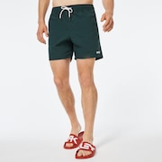All Day 16 Beach Short - Hunter Green