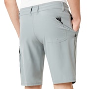 Cruiser Cargo Hybrid 21 - Steel Gray