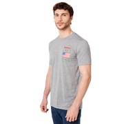 California - Gray Melange