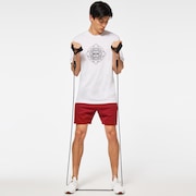 Fleece Training Short 6 - Iron Red