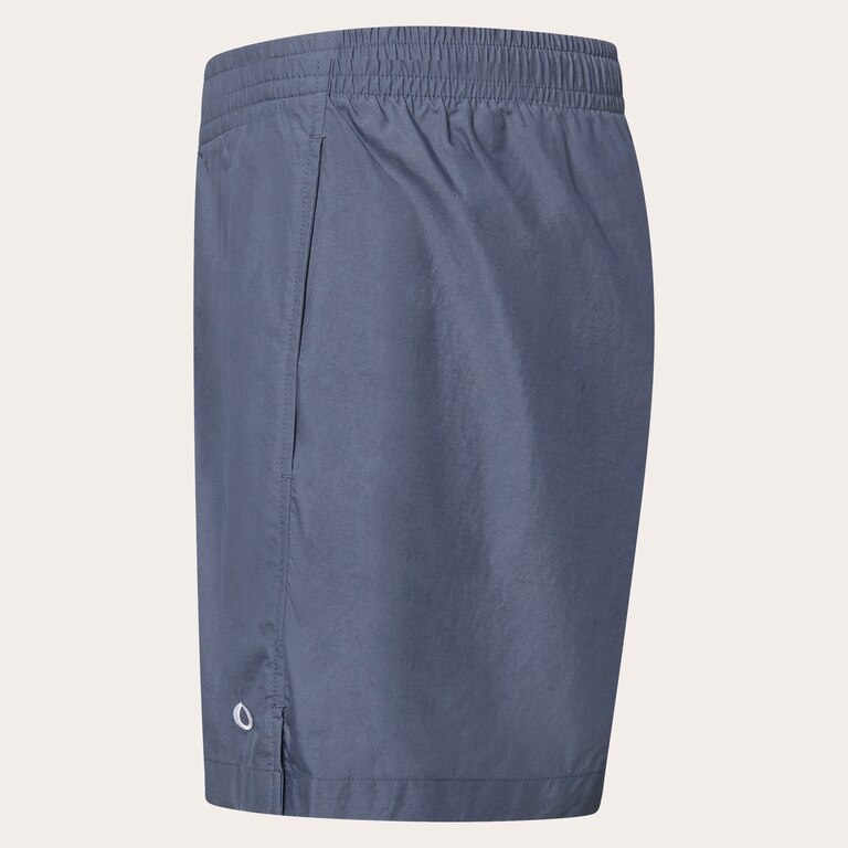 Allmighty Shorts 5.0Inch 2.0 - Gray Dust
