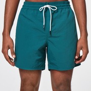 All Day 16 Beach Short - Bayberry
