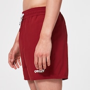 All Day 16 Beach Short - Iron Red