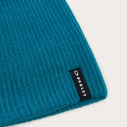 Back Bone Beanie 2.0 - New Balsam