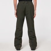 Cedar 2.0 Pant - New Dark Brush