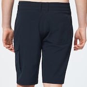 Cruiser Cargo Hybrid 21 - Blackout