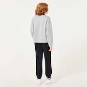 Ytr Qd Fleece Crew 9.0 - New Athletic Grey