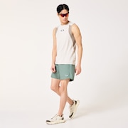 Allmighty Shorts 5.0Inch 2.0 - Aviator Green