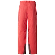 Regulator Insula 2L 10K Pant - High Risk Red
