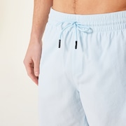 Checkered 18'' Beachshort - Frost