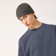 Fgl Beanie 26.0