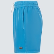 Robinson Rc 16" Beachshort - Bright Blue