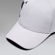 Skull Side Logo Cap Fa 26.0 - Winter Grey