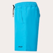 Marine Park Hybrid 19" Short - Bright Blue