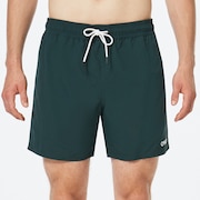 All Day 16 Beach Short - Hunter Green