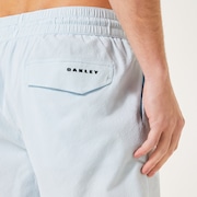 Checkered 18'' Beachshort - Frost