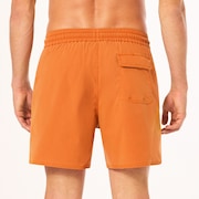 Robinson Rc 16" Beachshort - Ginger